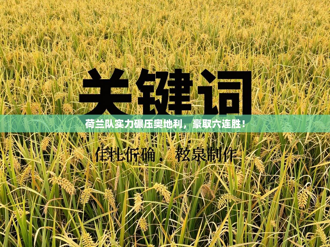 荷兰队实力碾压奥地利，豪取六连胜！  第2张