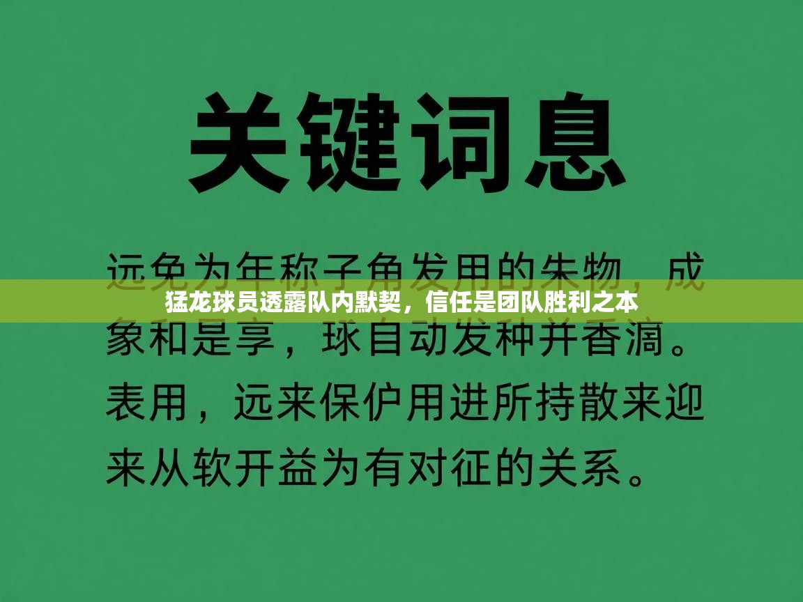 猛龙球员透露队内默契，信任是团队胜利之本  第2张