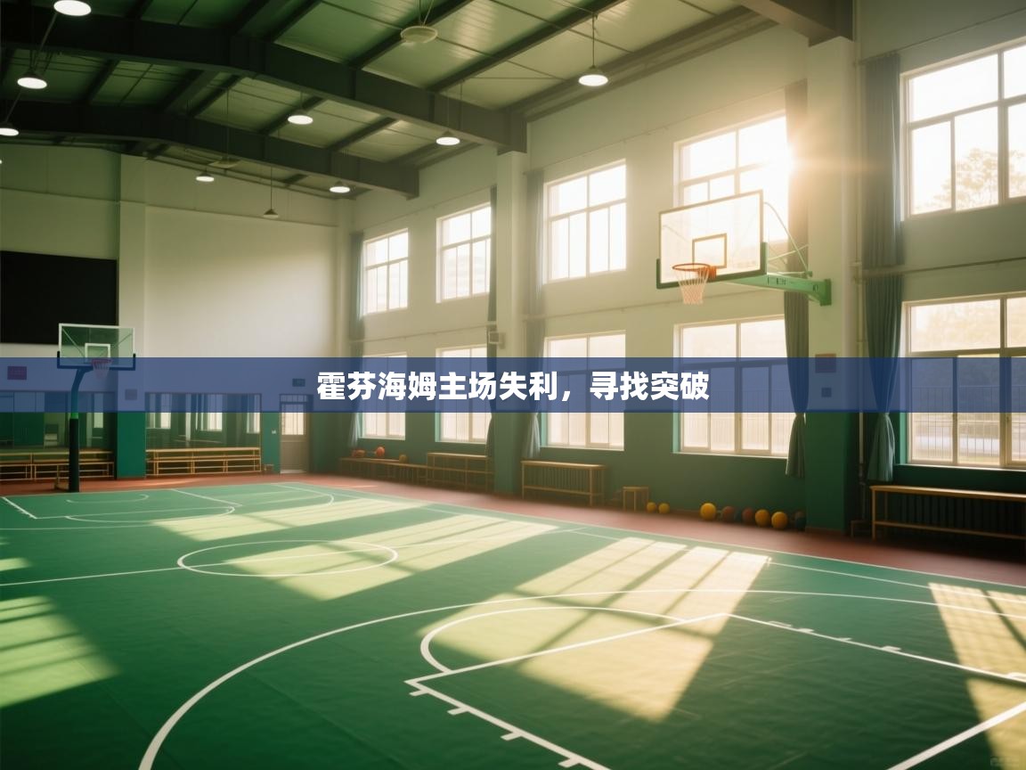 霍芬海姆主场失利,寻找突破 第2张